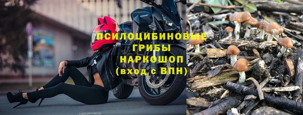a pvp Алексин