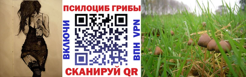 Галлюциногенные грибы прущие грибы блэк спрут ССЫЛКА Щигры